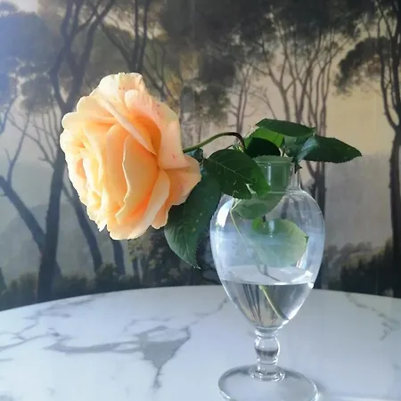 Bed & Breakfast Bastide Ysatis